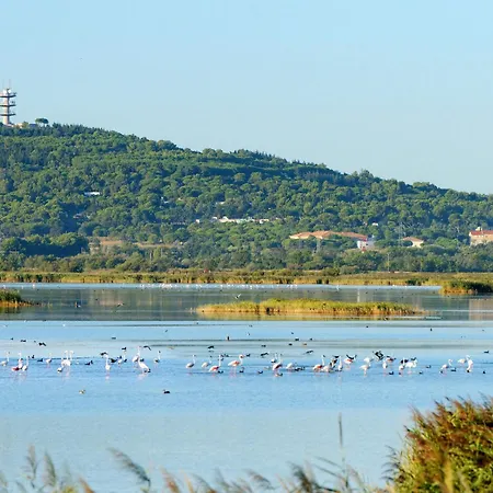 Ferienhaus Les Lavandines 1-6 By Interhome Agde